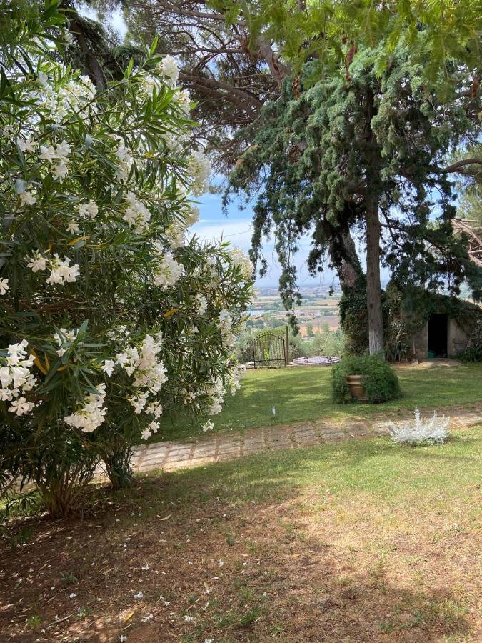 B&B Villa Il Poggetto Venturina Terme Eksteriør bilde