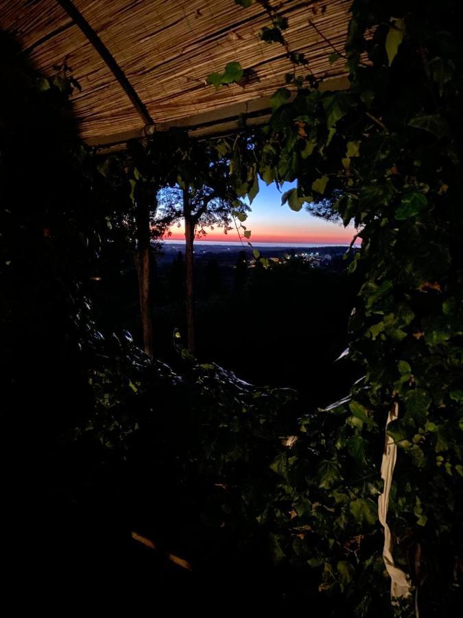 B&B Villa Il Poggetto Venturina Terme Eksteriør bilde