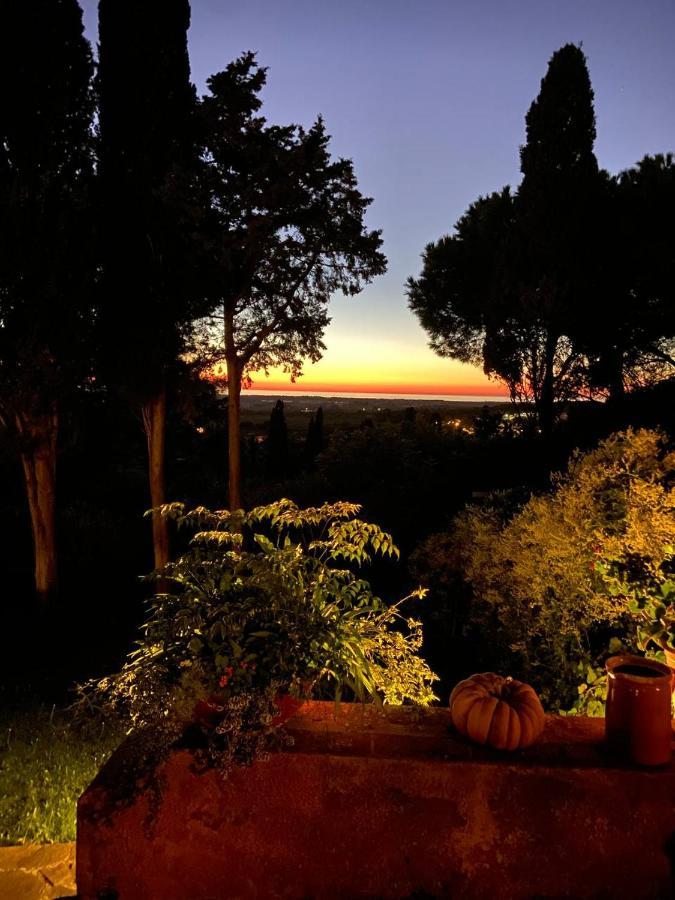 B&B Villa Il Poggetto Venturina Terme Eksteriør bilde