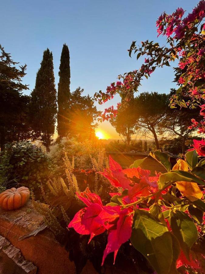 B&B Villa Il Poggetto Venturina Terme Eksteriør bilde