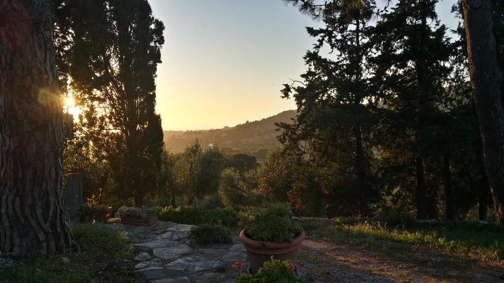B&B Villa Il Poggetto Venturina Terme Eksteriør bilde