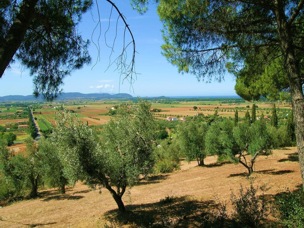 B&B Villa Il Poggetto Venturina Terme Eksteriør bilde