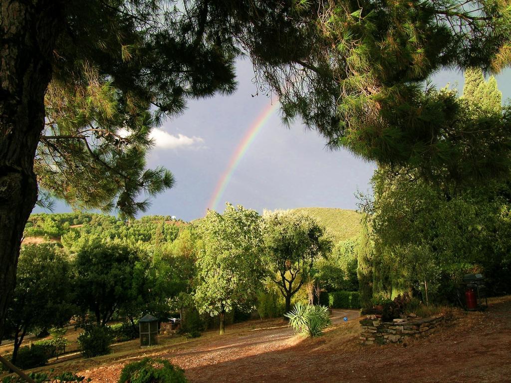 B&B Villa Il Poggetto Venturina Terme Eksteriør bilde