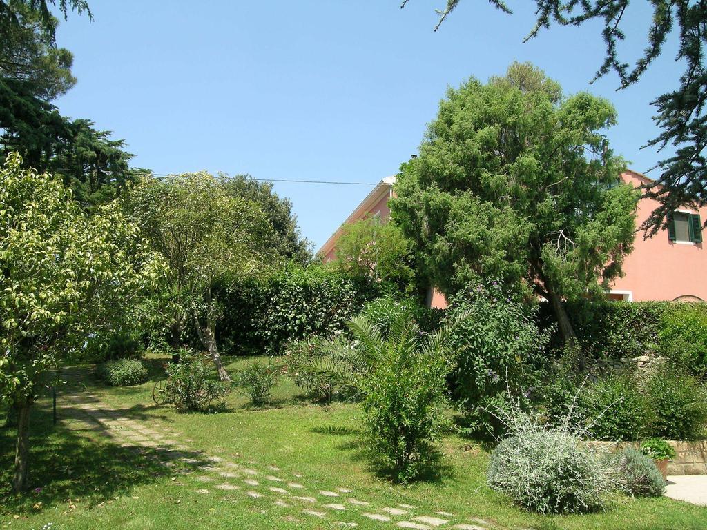 B&B Villa Il Poggetto Venturina Terme Eksteriør bilde